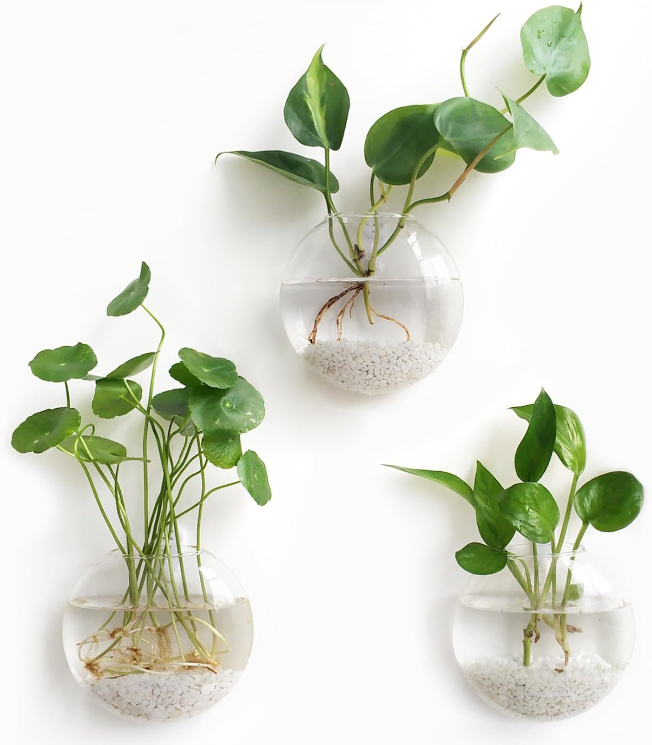 4Pcs Oblate Wall Hanging Glass Propagation Station, Hydroponic Flower Vase for Plant Cuttings, Home Bathroom Office Living Room Wall Decor Gift, Plants Not Included