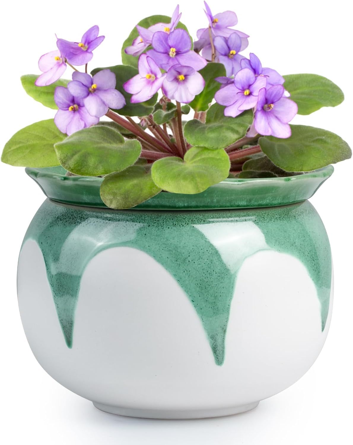 6 Inch Ceramic Self Watering African Violet Pots, Easy Planters for Busy Plant Lovers, Automatic Water Absorption for Indoor Plants (Plants Not Included)