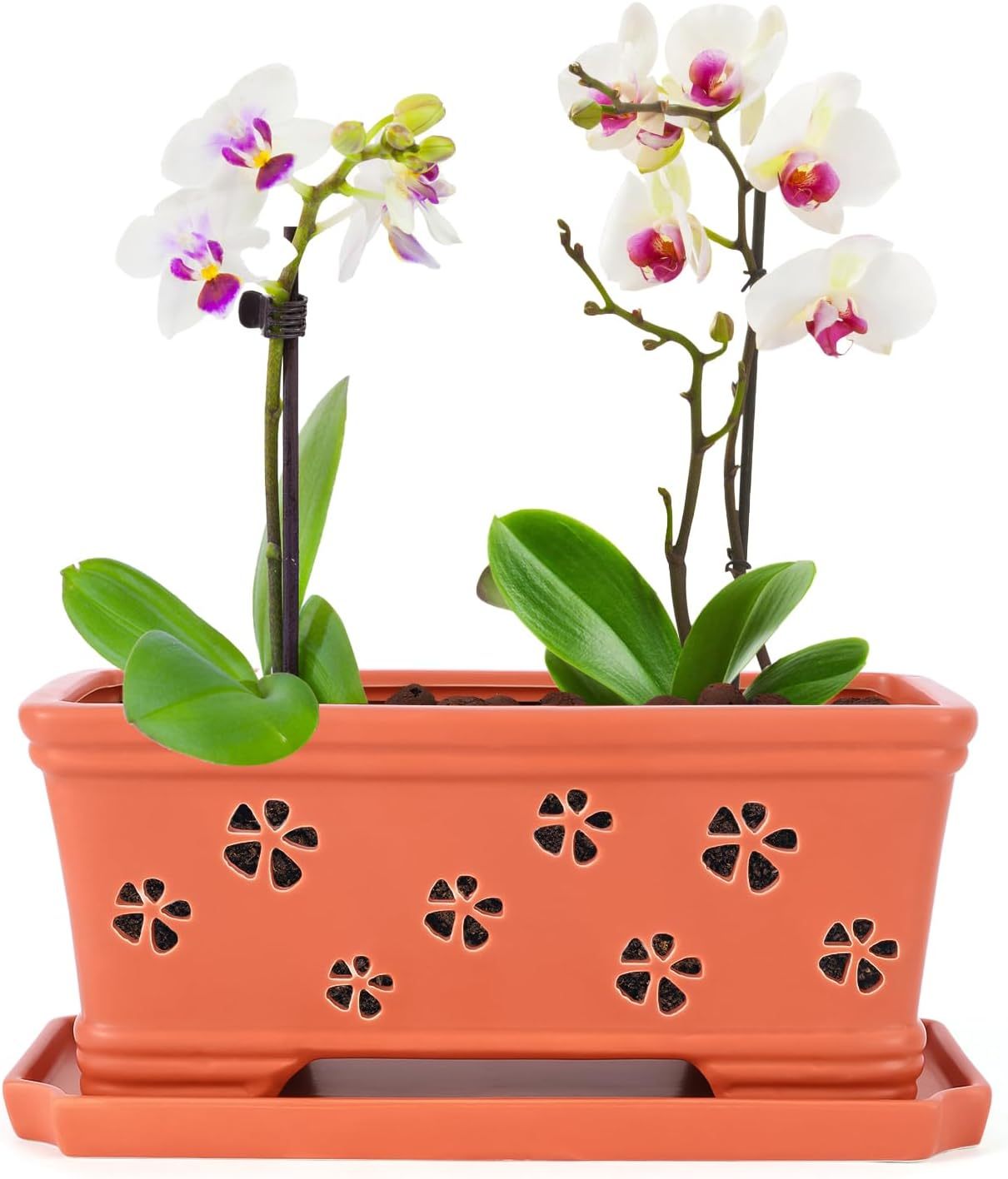 Rectangle Ceramic Orchid Pot with Holes & Saucer