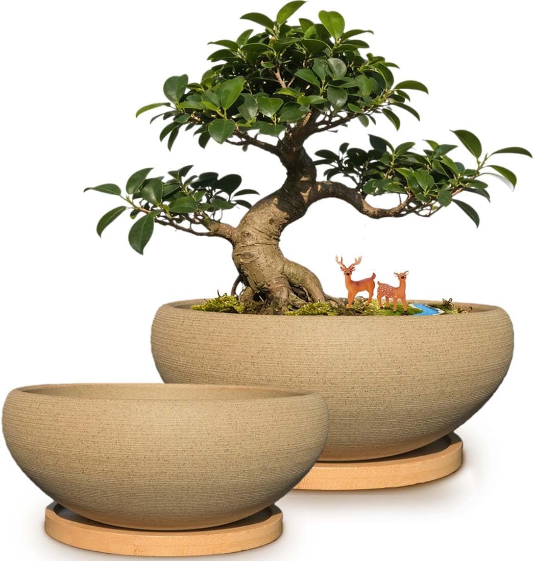 8 Inch Round Unglazed Ceramic Bonsai Pot with Bamboo Tray, Large Rough Pottery Succulent Planter with Drainage Hole