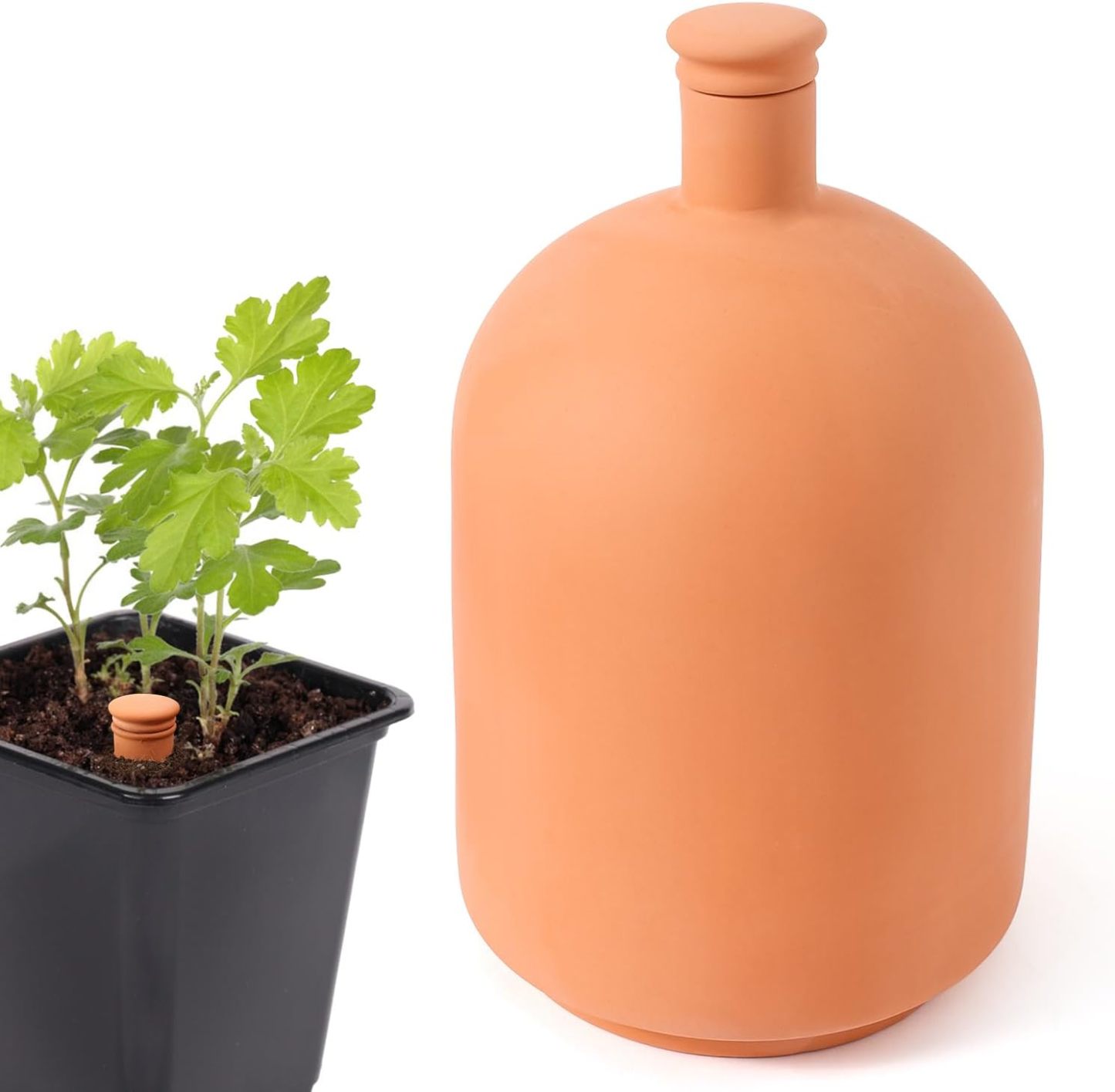 Ollas 8pcs 3.1 * 6inch Terracotta Plant Watering Globes Self Watering Planter Insert Olla Terra Cotta Clay Irrigation Globes
