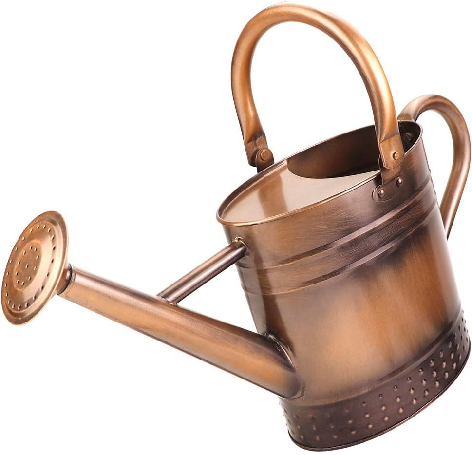 1 Gallon Galvanized Steel Watering Can, Metal Water Can with Removable Spout & Embossed Design for Indoor Outdoor Plants