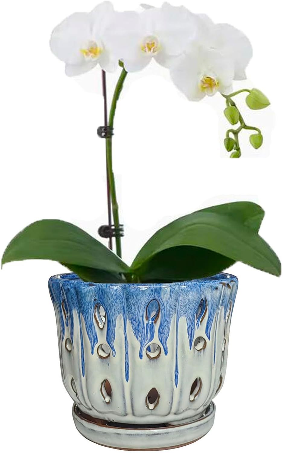 6 Inch Round Ceramic Orchid Pot with Holes, Premium Orchid Planter for Indoor Outdoor Use