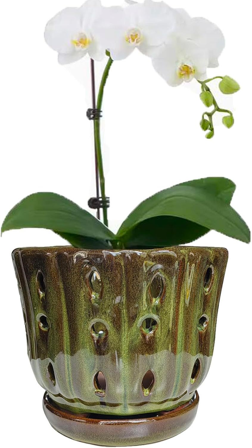 6 Inch Round Ceramic Orchid Pot with Holes, Premium Orchid Planter for Indoor Outdoor Use
