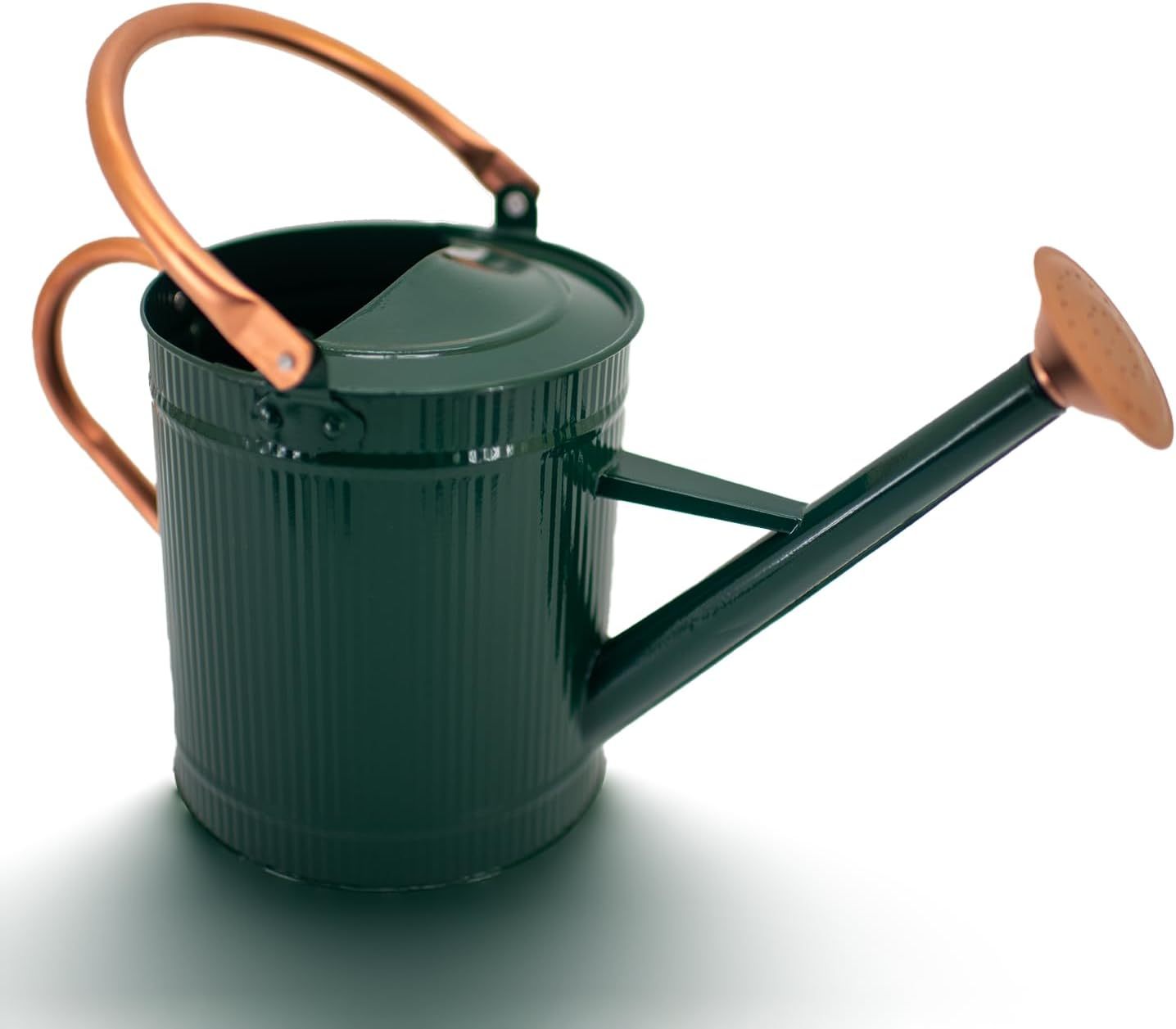 1 Gallon Galvanized Metal Watering Can with Removable Spout, Farmhouse Style for Indoor & Outdoor Plants