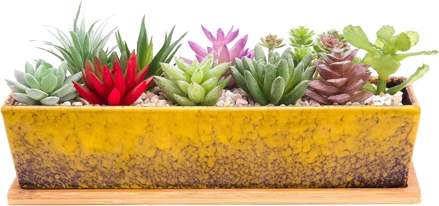 12 Inch Rectangular Ceramic Succulent Planter, Shallow Bonsai Flower Pot with Drainage Hole & Bamboo Tray, Home Garden Window Box for Cactus Plant Decor