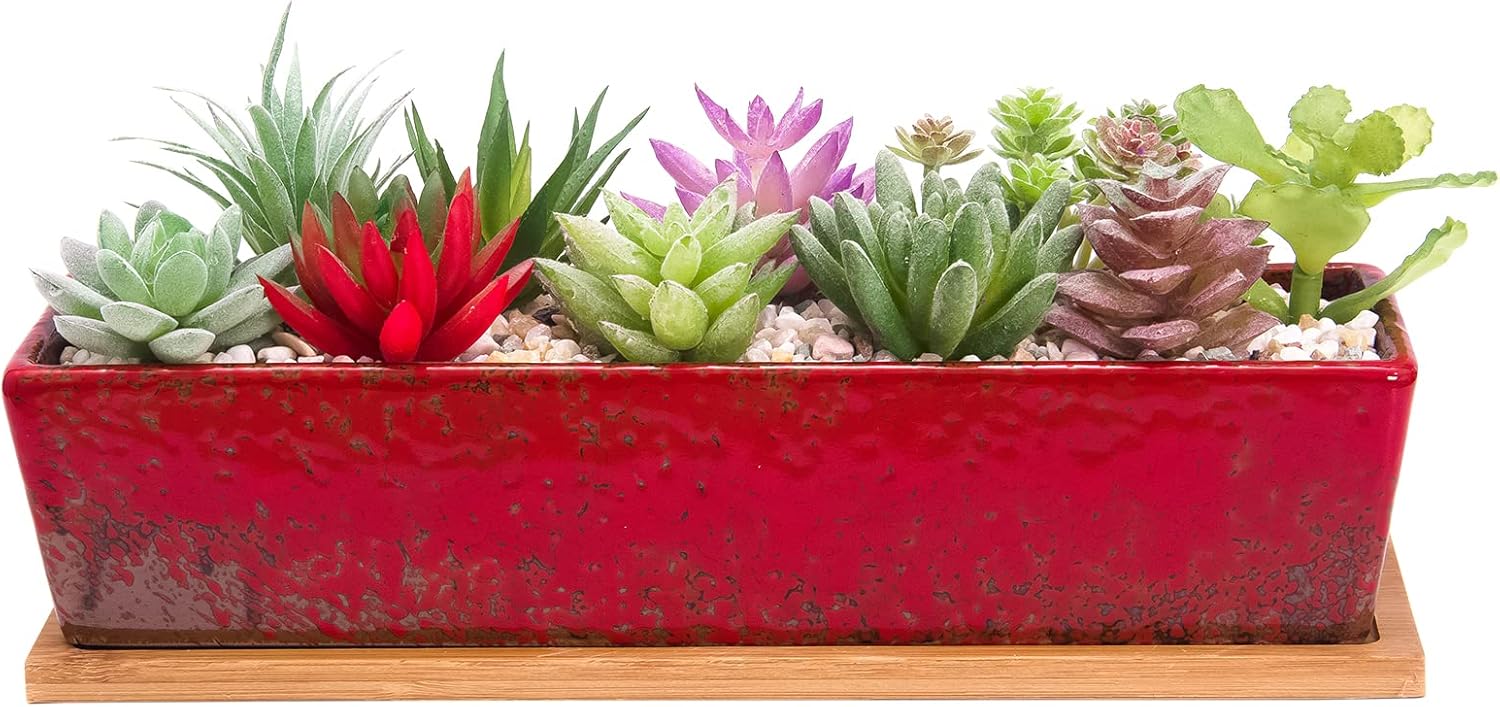 12 Inch Rectangular Ceramic Succulent Planter, Shallow Bonsai Flower Pot with Drainage Hole & Bamboo Tray, Home Garden Window Box for Cactus Plant Decor