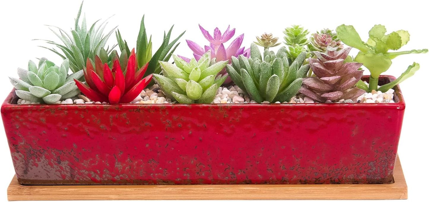 12 Inch Rectangular Ceramic Succulent Planter, Shallow Bonsai Flower Pot with Drainage Hole & Bamboo Tray, Home Garden Window Box for Cactus Plant Decor