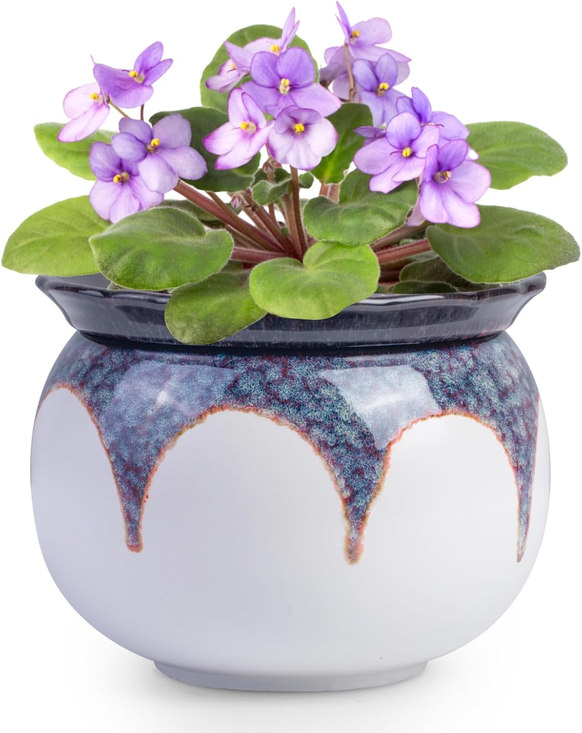 6 Inch Ceramic Self Watering African Violet Pots, Easy Planters for Busy Plant Lovers, Automatic Water Absorption for Indoor Plants (Plants Not Included)