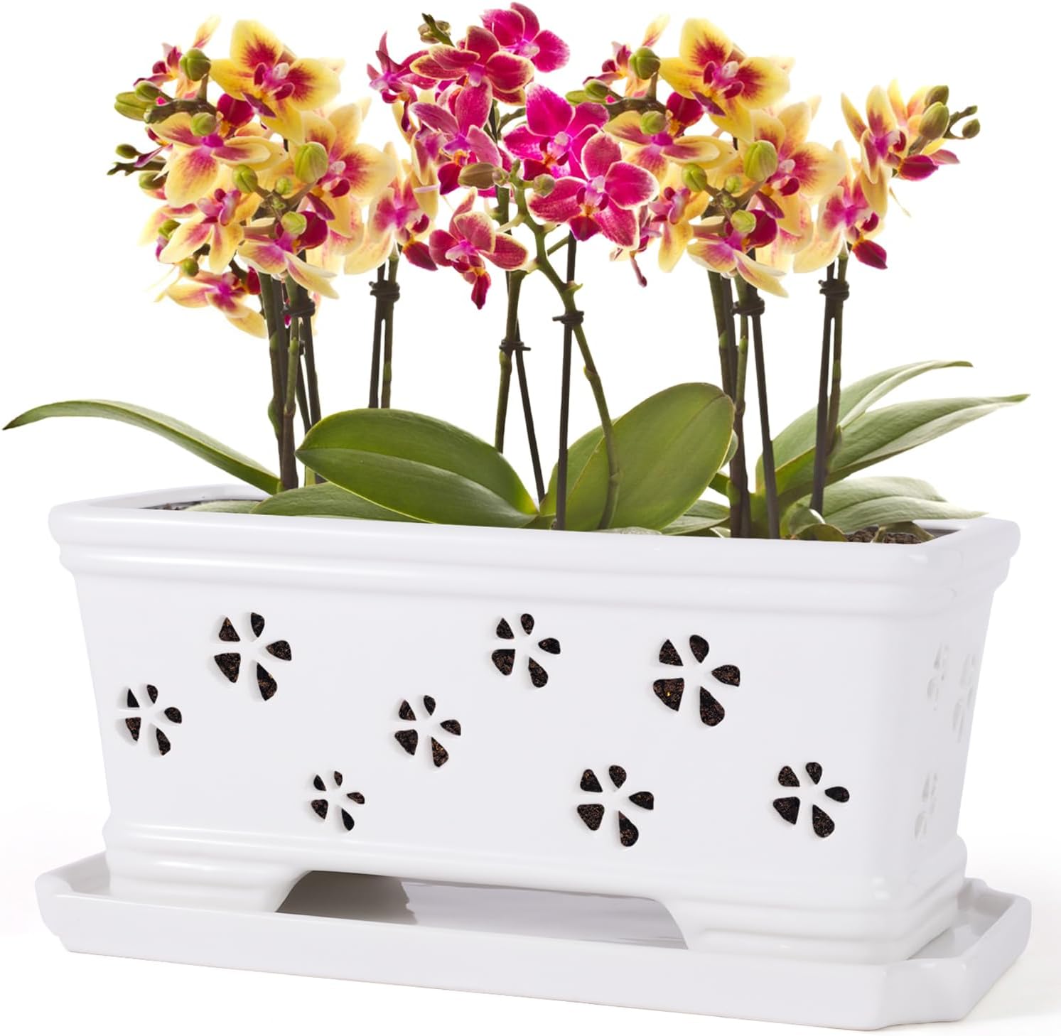 Rectangle Ceramic Orchid Pot with Holes & Saucer