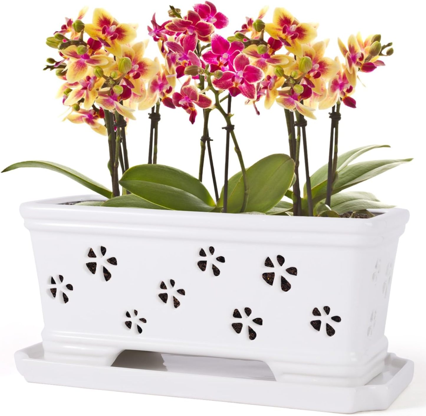 Rectangle Ceramic Orchid Pot with Holes & Saucer