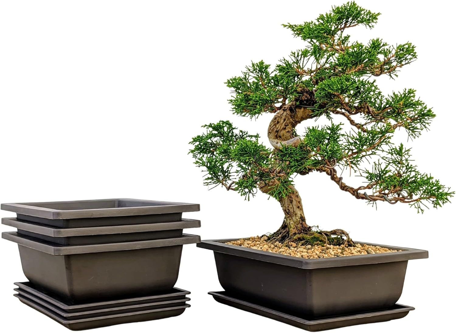 Training Pots with Humidity Trays – Built-in Mesh, 6 Inch Large Planters, Durable Shatterproof Poly-Resin Pot Set of 3