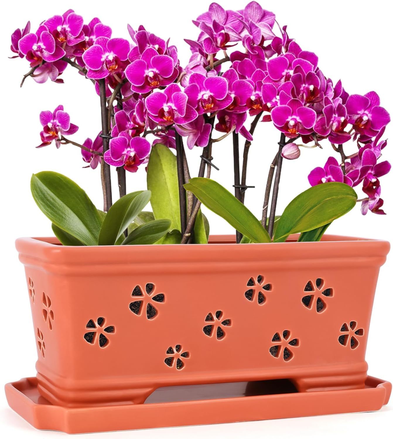 Rectangle Ceramic Orchid Pot with Holes & Saucer