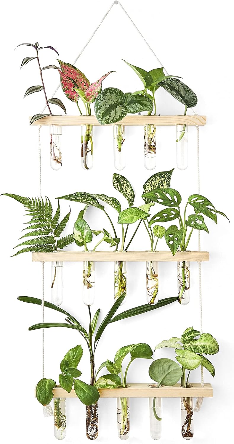 3 Tier Wall Hanging Plant Propagation Tubes, Wooden Frame Test Tube Glass Vase, Hydroponic Cuttings Terrarium, Home Garden Office Wall Decor Gift