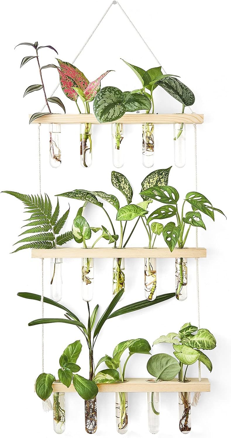 3 Tier Wall Hanging Plant Propagation Tubes, Wooden Frame Test Tube Glass Vase, Hydroponic Cuttings Terrarium, Home Garden Office Wall Decor Gift