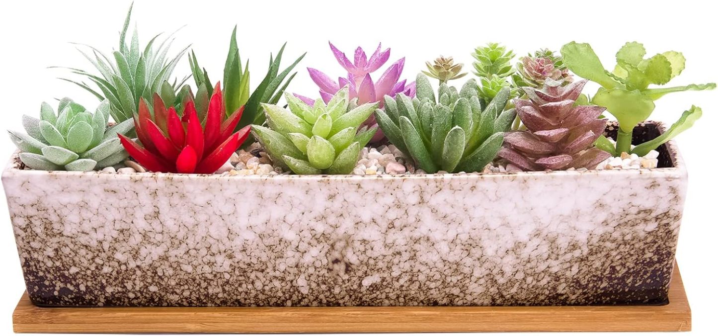 12 Inch Rectangular Ceramic Succulent Planter, Shallow Bonsai Flower Pot with Drainage Hole & Bamboo Tray, Home Garden Window Box for Cactus Plant Decor