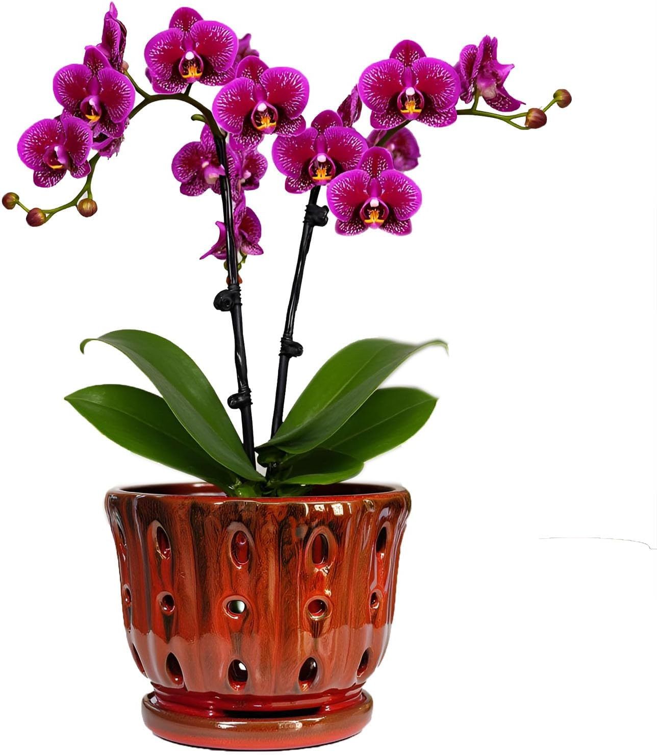 6 Inch Round Ceramic Orchid Pot with Holes, Premium Orchid Planter for Indoor Outdoor Use