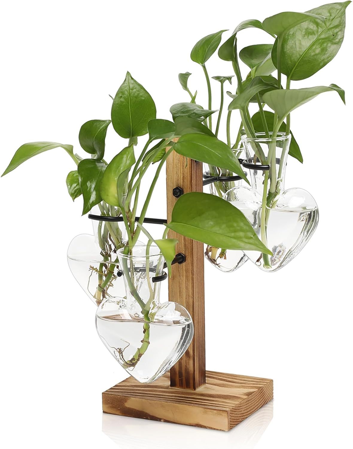 4 Pcs Love Bulb Glass Propagation Station with Wooden Stand, Hydroponic Plant Terrarium Vase, Indoor Home Office Decorative Gardening Gift for Women