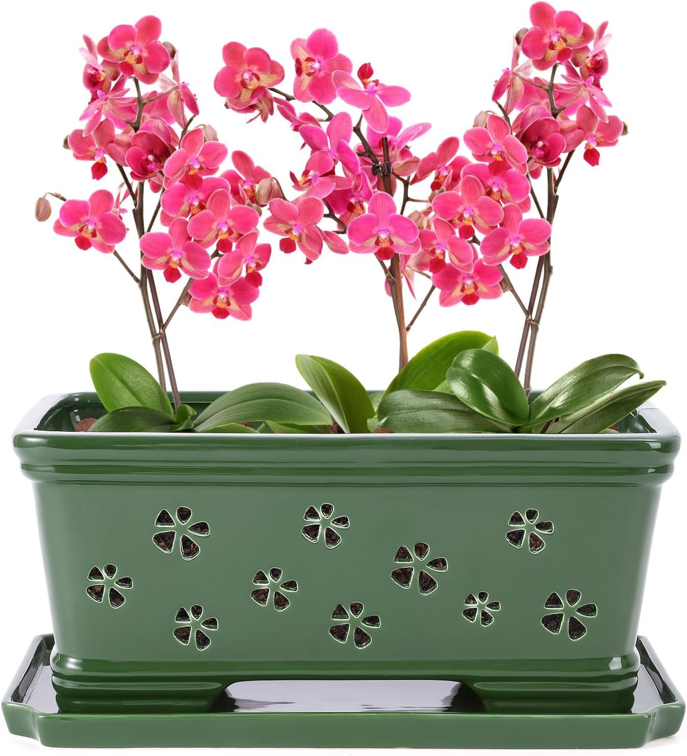 Rectangle Ceramic Orchid Pot with Holes & Saucer