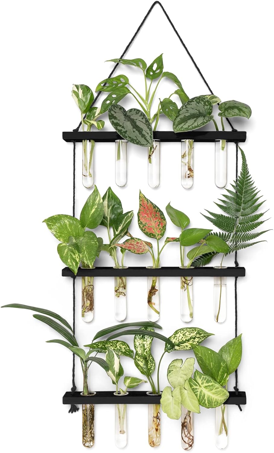 3 Tier Wall Hanging Plant Propagation Tubes, Wooden Frame Test Tube Glass Vase, Hydroponic Cuttings Terrarium, Home Garden Office Wall Decor Gift