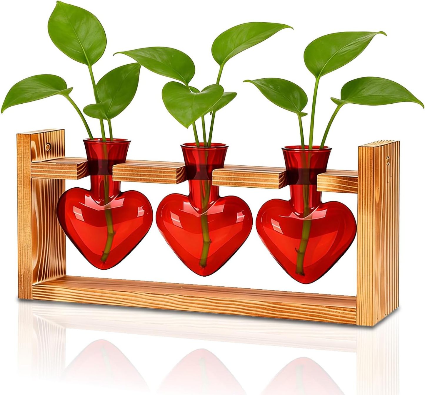 Plant Terrarium Propagation Station, 3 Bulb Glass Vases with Wooden Stand, Mothers Day Gifts for Mom Plant Lovers Women Wife Daughter, Tabletop Hydroponic Planter for Home Garden Decor