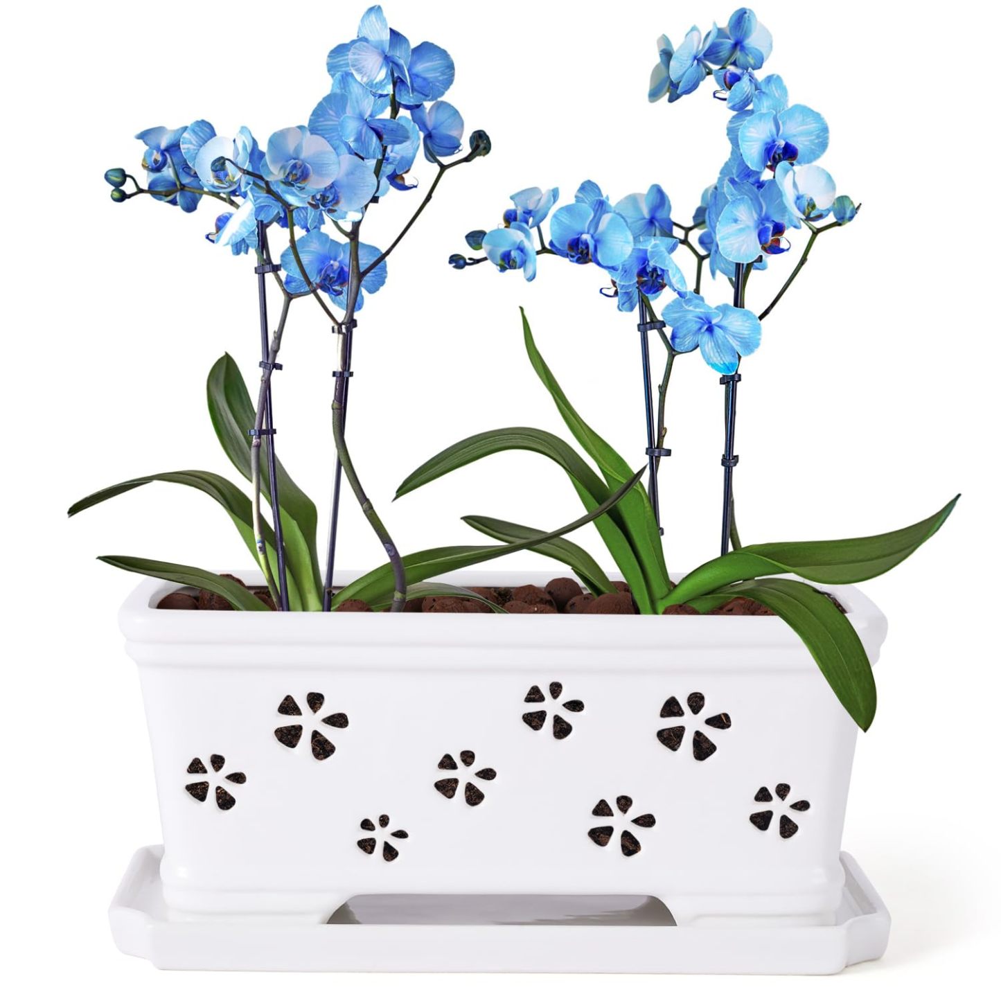 Rectangle Ceramic Orchid Pot with Holes & Saucer