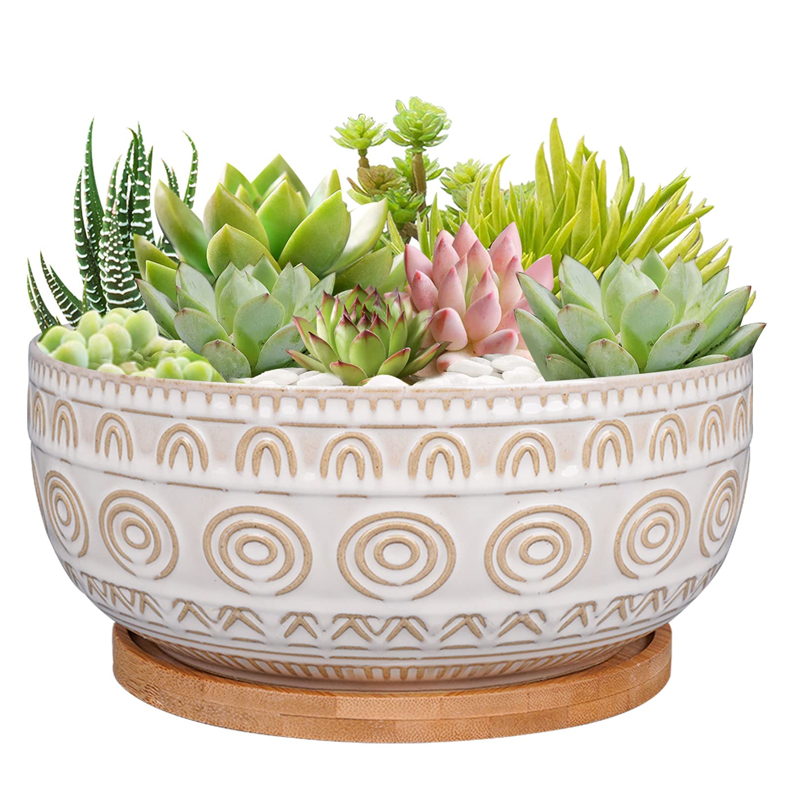 Eightpot 8 Inch Round Shallow Ceramic Succulent Planter with Drainage Hole & Saucer for Indoor Plants