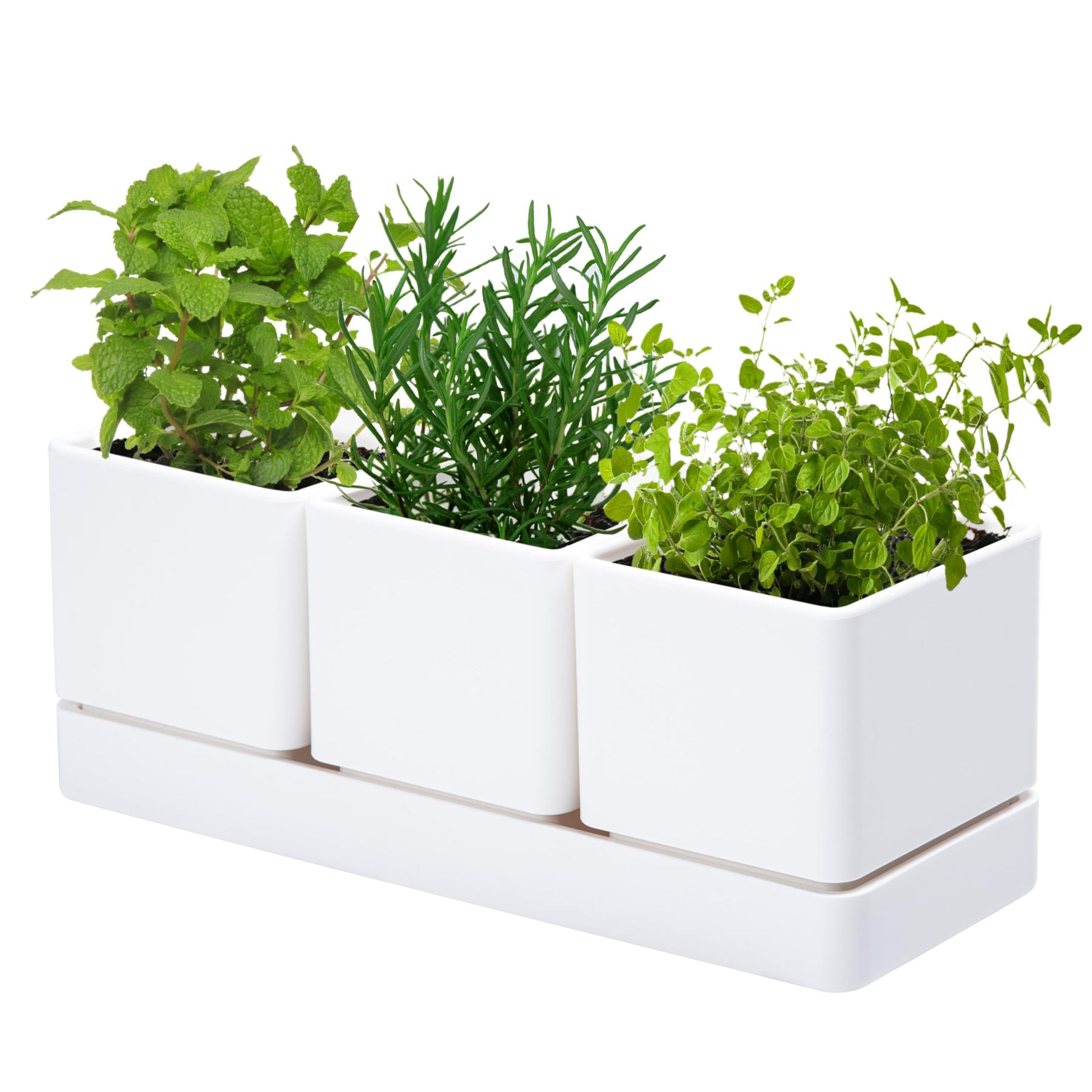 White Herb Garden Planter Set, Plastic Plant Pots with Drainage Holes & Saucers, Indoor Succulent Cactus Herb Pot for Windowsill, Balcony & Garden Decor