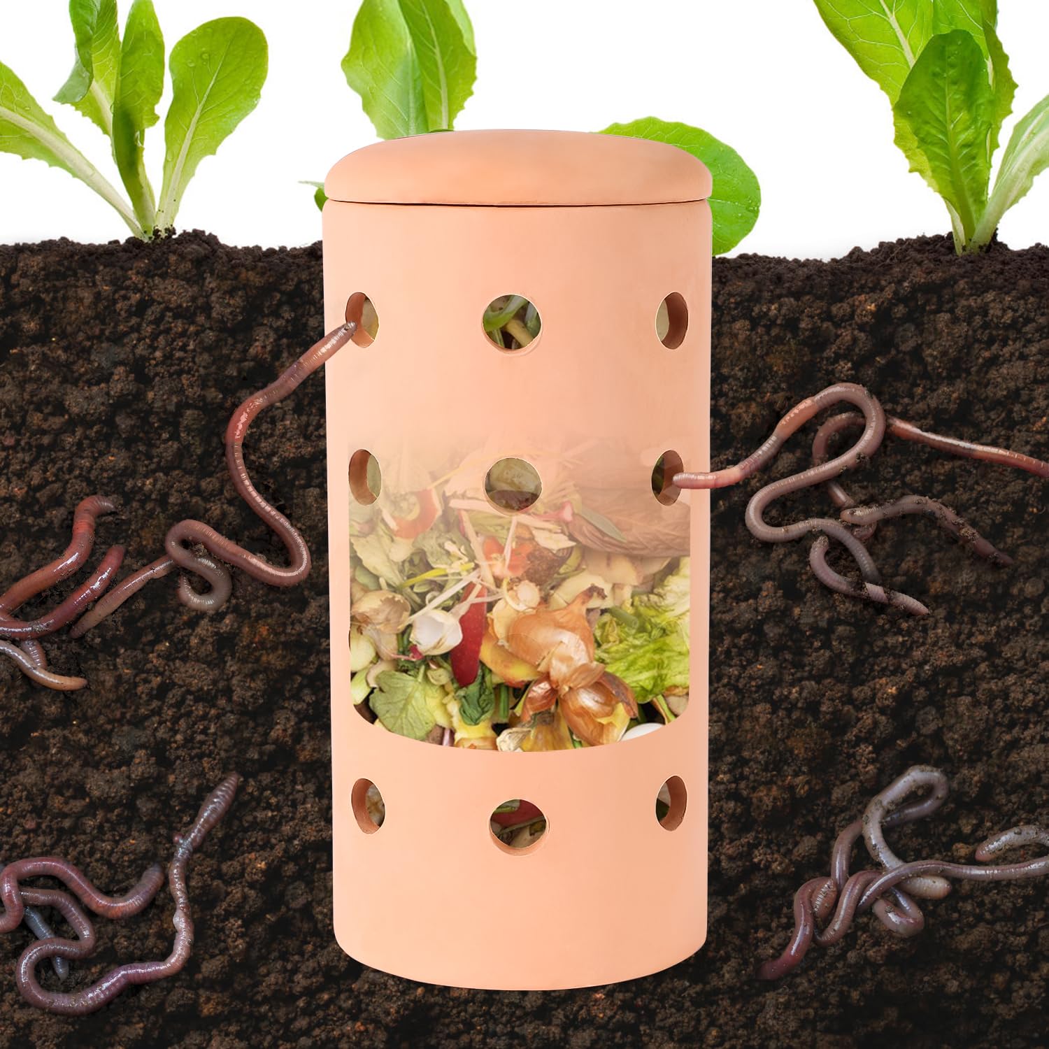 Underground Worm Farm