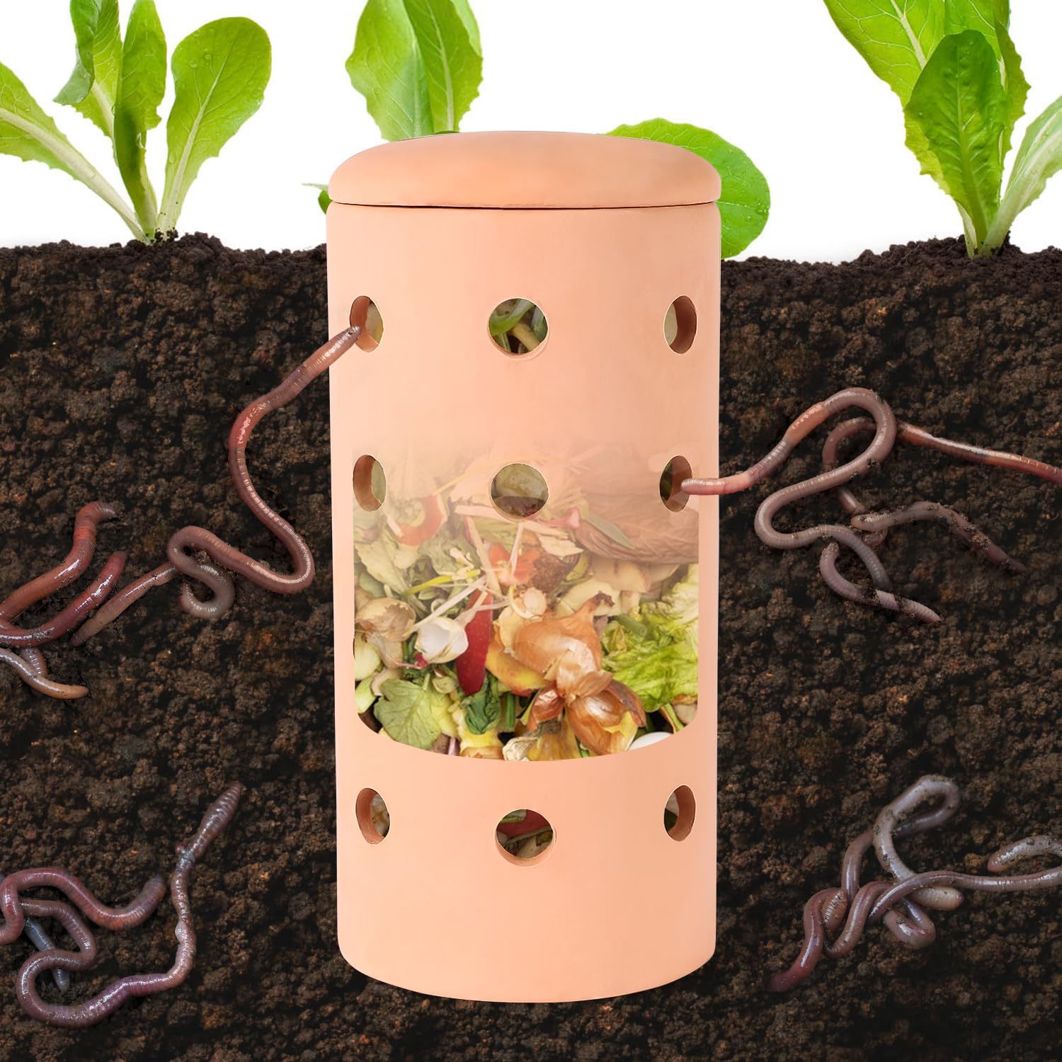 Underground Worm Farm