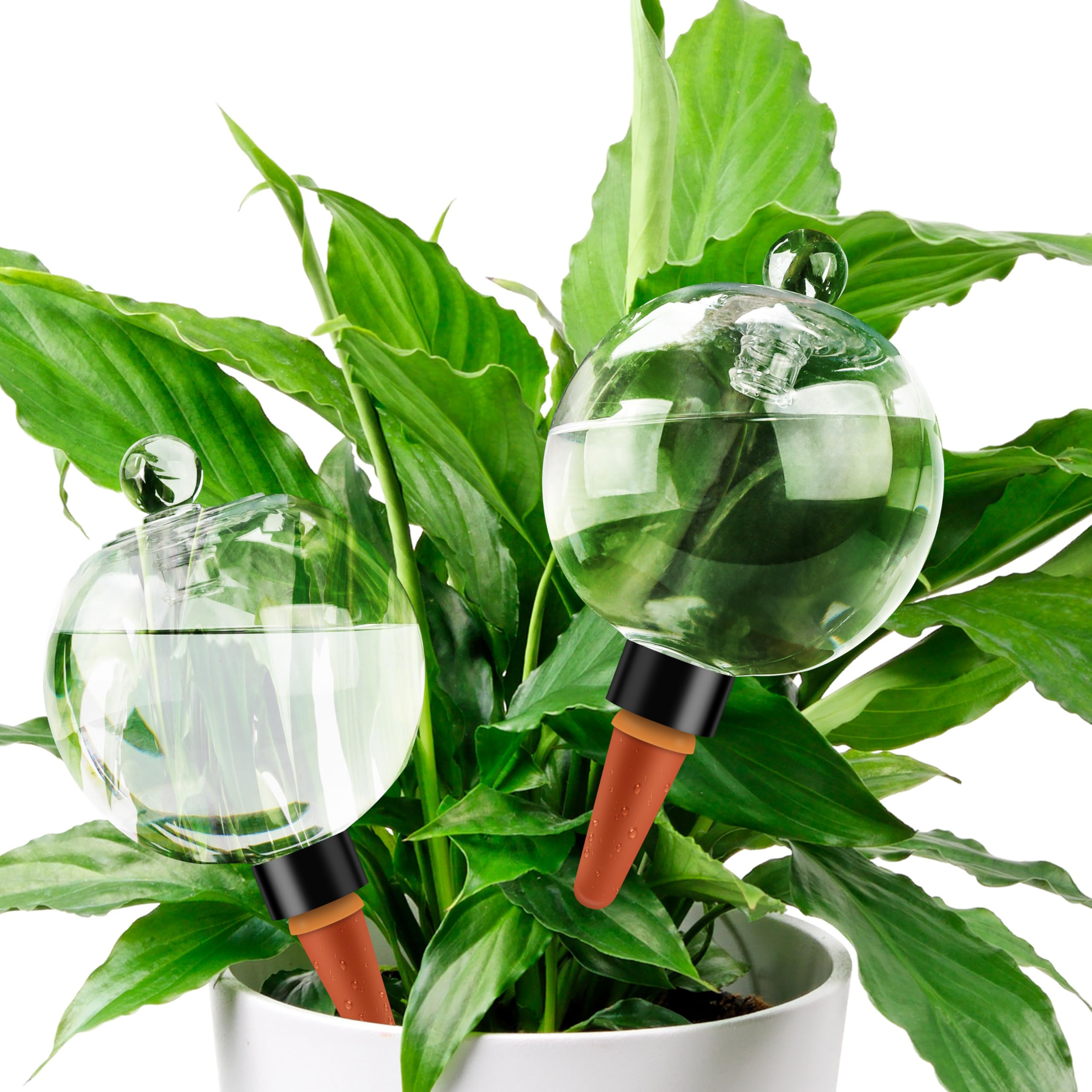 2 Pack 19oz Extra Large Top-Fill Self Watering Plant Globes, Slow Release Plastic Water Bulbs, Automatic Watering Stakes for Indoor Outdoor Plants