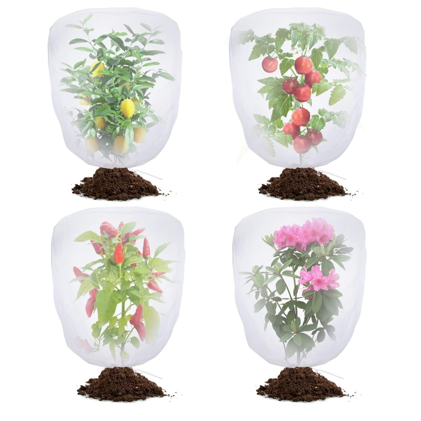 Garden Bird Protection Netting, 4 Pack Drawstring Plant Cover, 3.3Ft x 2.7Ft Pest Barrier Net, Mosquito & Cicada Proof Protective Mesh for Tomato Plants, Vegetables and Blueberry Bushes
