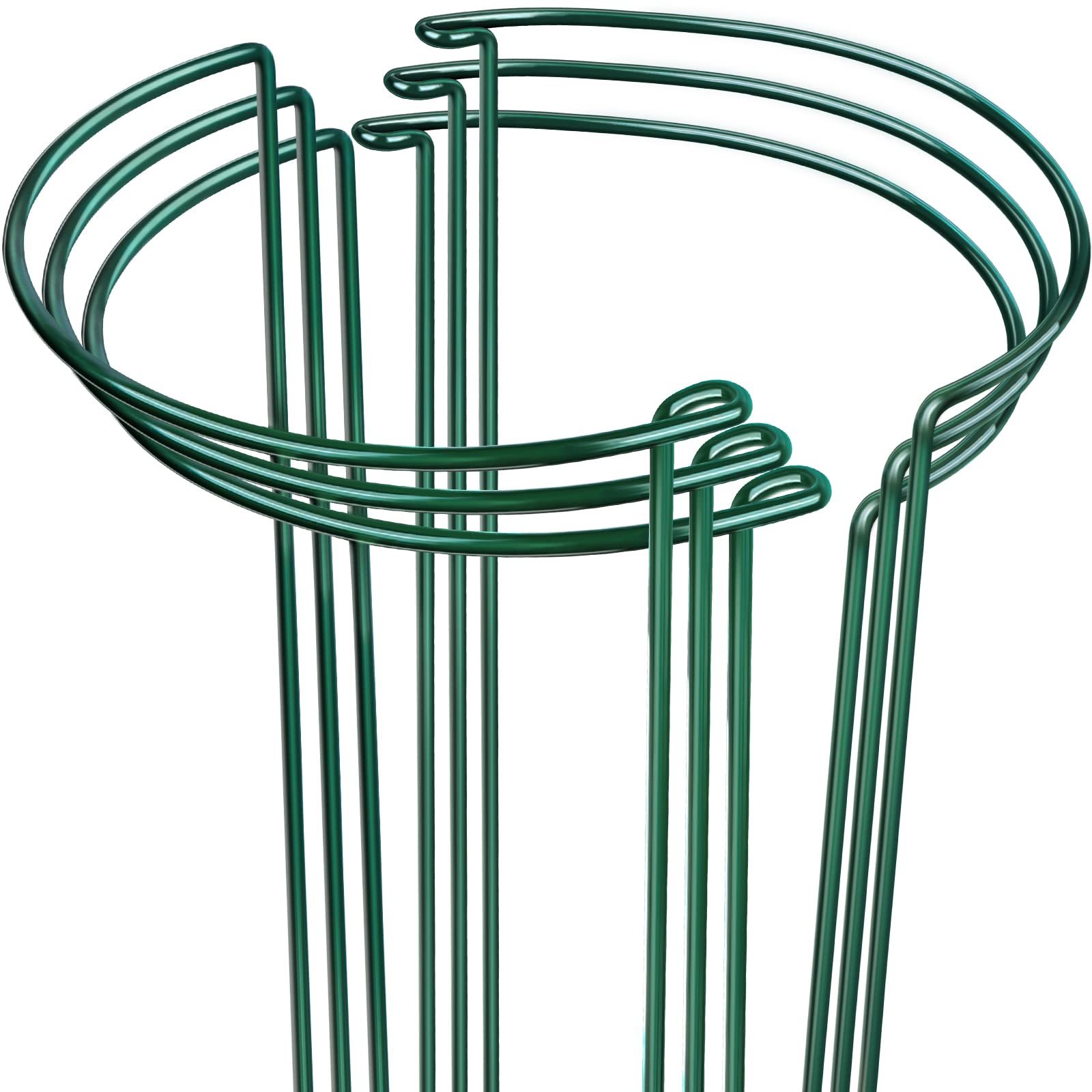 6 Pack Metal Plant Support Rings, 9.8" W x 15.7" H Garden Plant Stake Cages, Peony & Tomato Support Stands for Hydrangea, Flowers and Indoor Plants