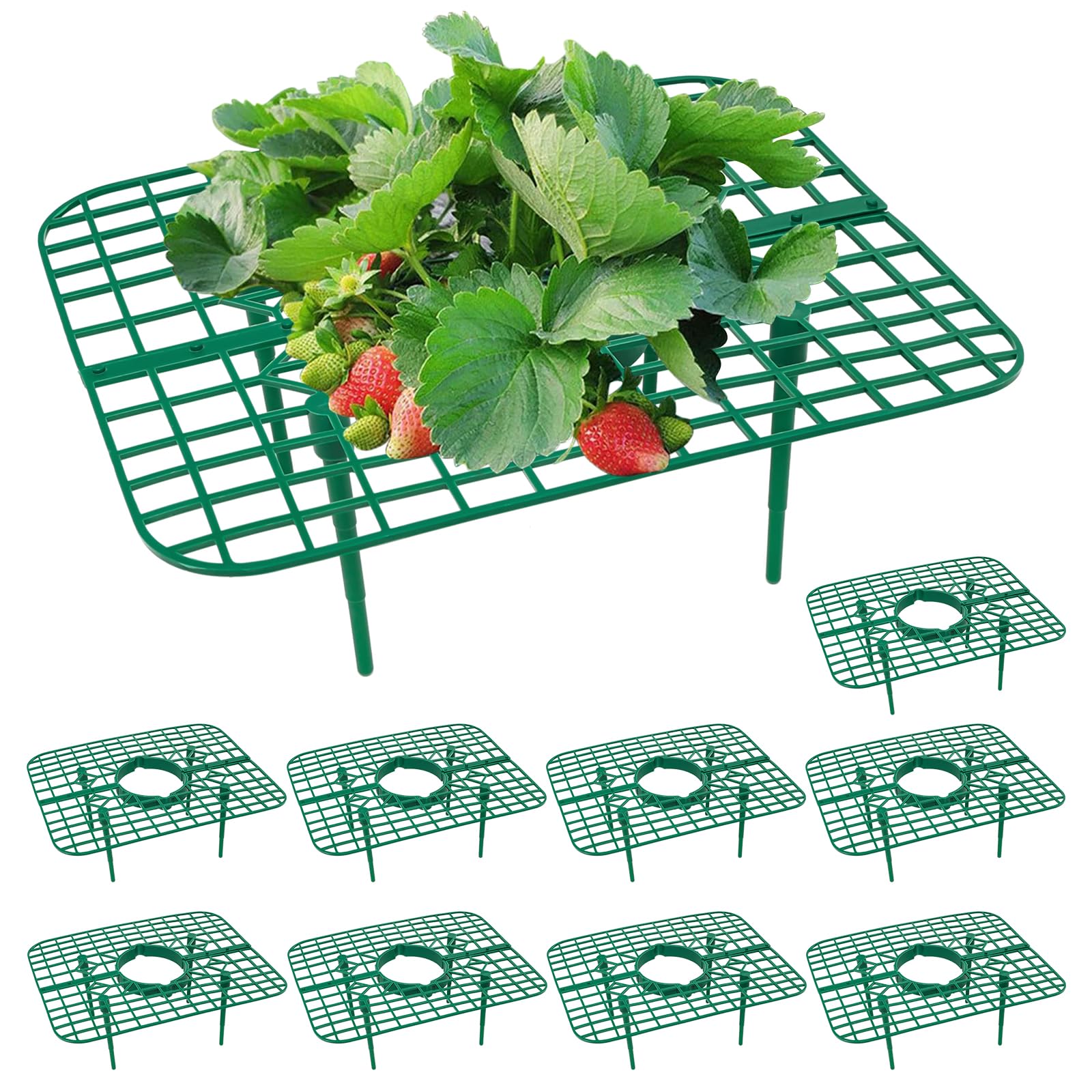 10 Pack Strawberry Plant Support Frames, Strawberry Growing Racks to Keep Berries Clean, Reusable Strawberry Planting Stands for Garden