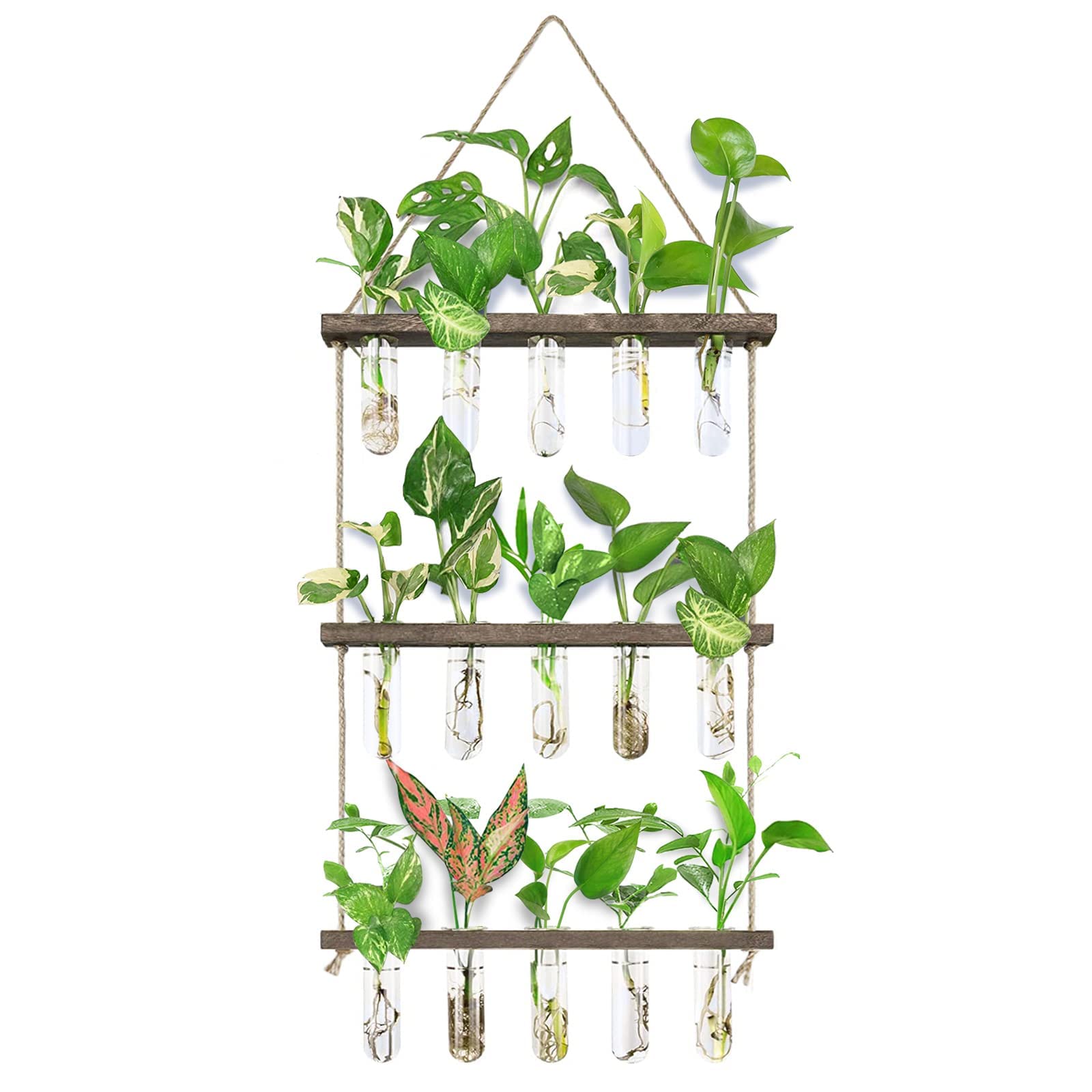 3-Tiered Wall Hanging Propagation Station, Wooden Stand with 5 Glass Test Tubes, Wall Terrarium Plant Hanger for Hydroponic Cuttings, Home Office Wall Decor Flower Vases