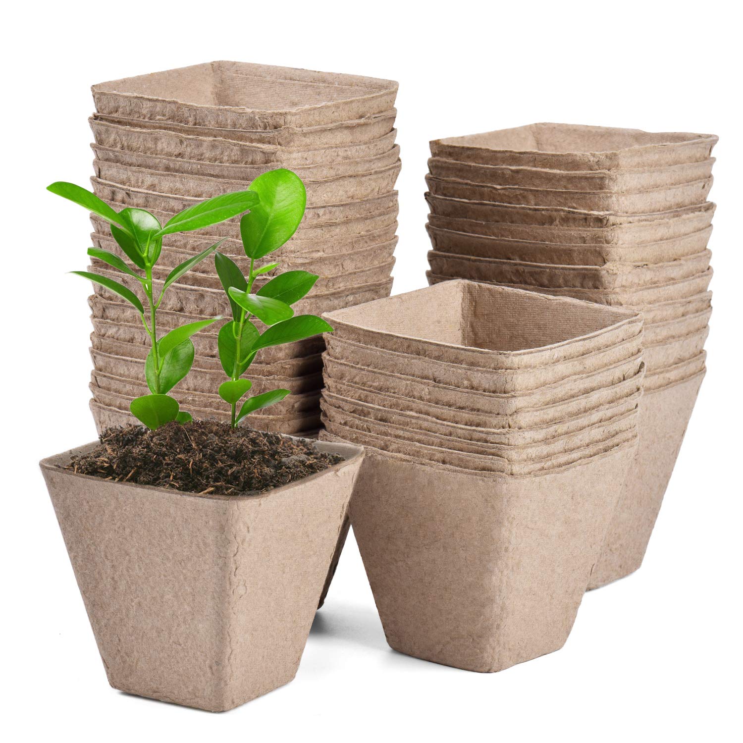 3.25" Biodegradable Peat Seed Starter Pots