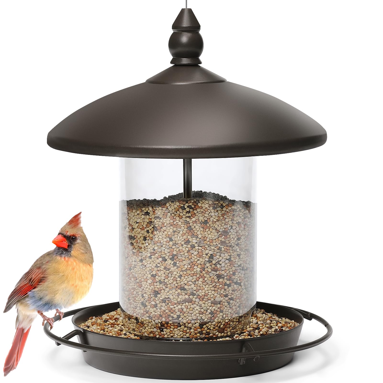 Metal Roof Bird Feeder, Chew-Proof Outdoor Hanging Feeder for Wild Bird Seeds, Bronze Finish