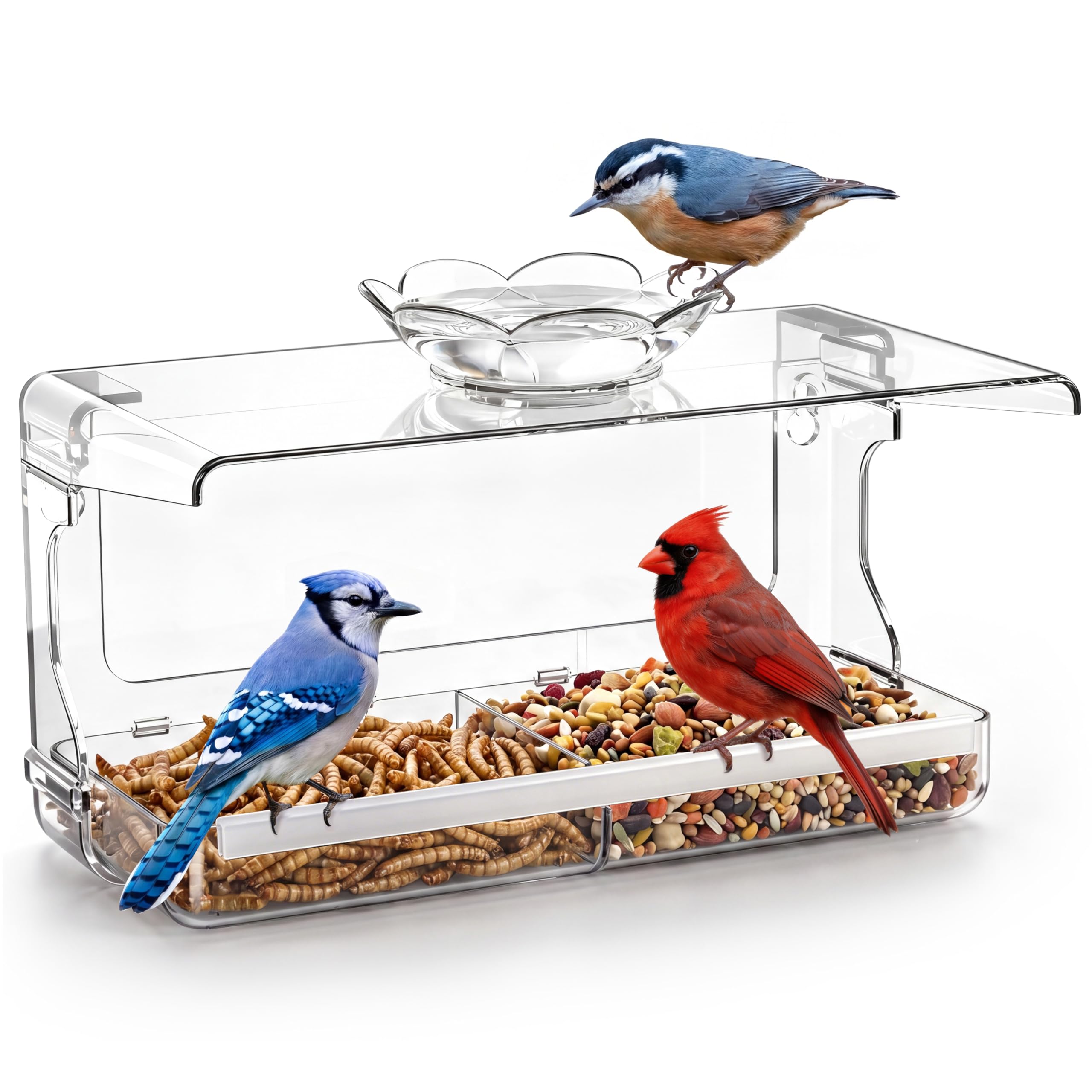 Window Bird Feeder with Non-Marking Self-Adhesive Hooks, Clear Transparent Design for Outdoor Wild Bird Watching & Garden Decor