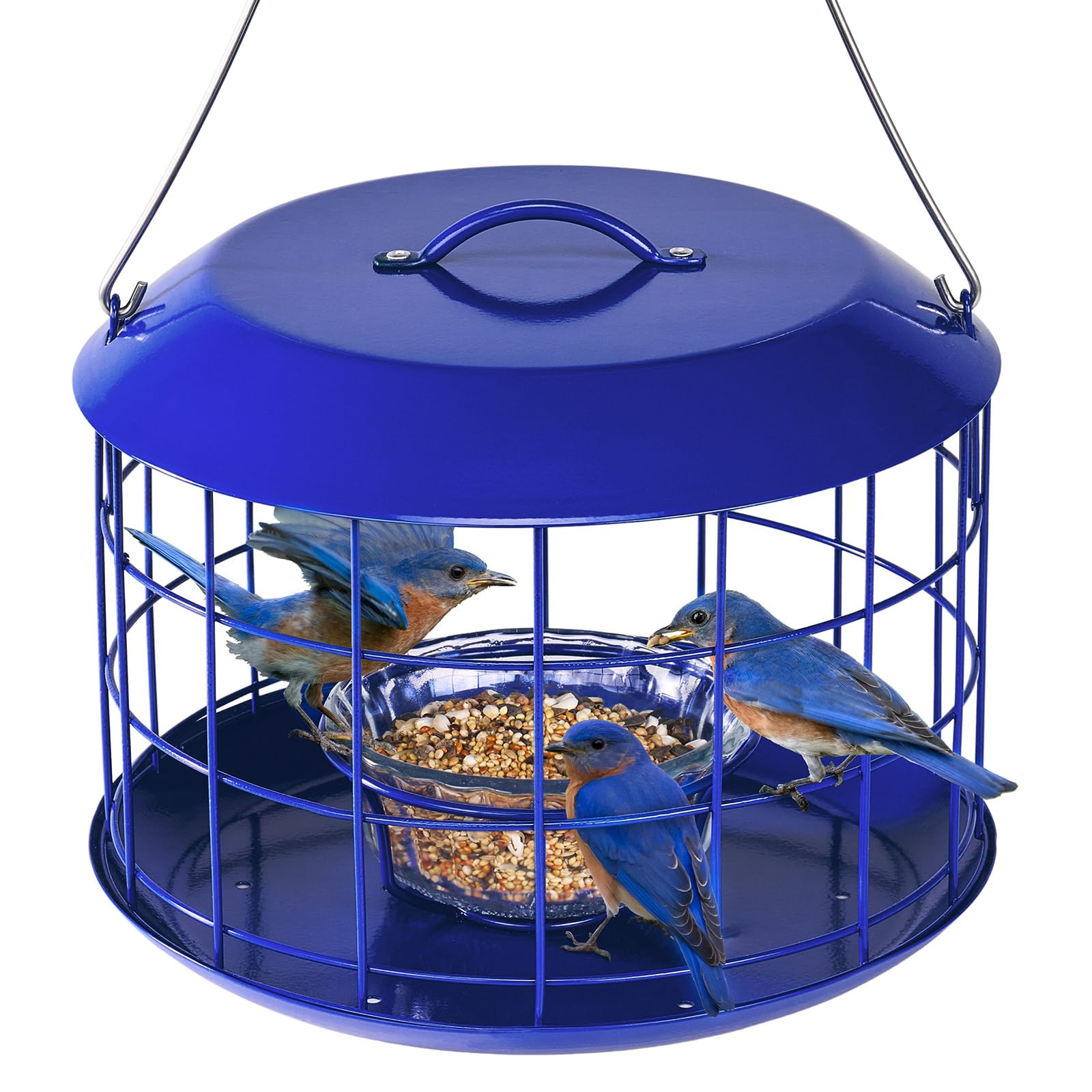 All Metal Bluebird Feeder, Outdoor Hanging Cage Mealworm Bird Feeder with Tray, Squirrel Proof & Weather Resistant, Easy to Refill and Clean
