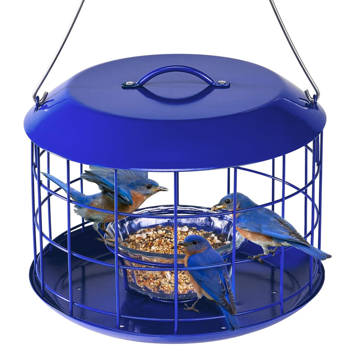 All Metal Bluebird Feeder, Outdoor Hanging Cage Mealworm Bird Feeder with Tray, Squirrel Proof & Weather Resistant, Easy to Refill and Clean