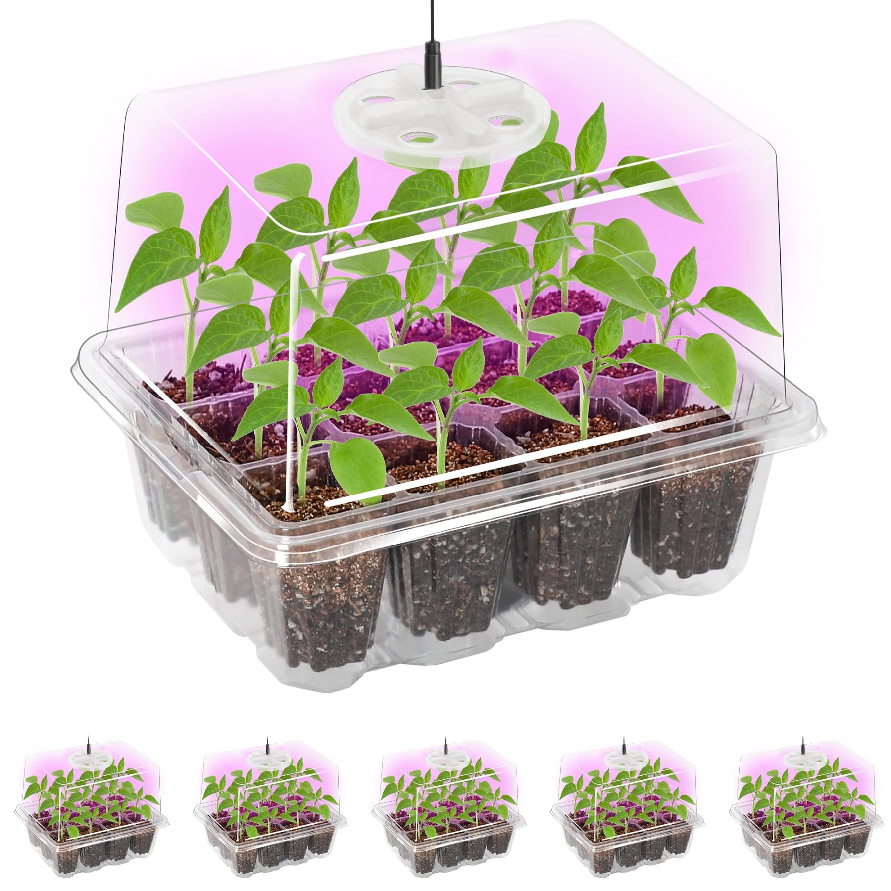 5 Packs Seed Starter Tray with Grow Light, Elevated Seedling Tray Kit with Adjustable Humidity Dome & Clear Cell Tray, 12 Full Spectrum LED Beads for Indoor Plant Germination