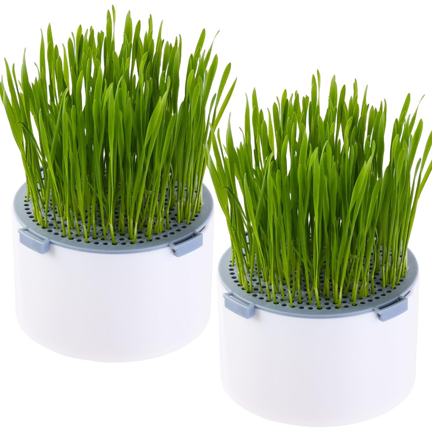 2Pcs Hydroponic Cat Grass Planter, Soil Free Wheatgrass Growing Tray, Anti Digging Anti Uprooted Cat Grass Grow Kit for Indoor Pets Cats, Without Seeds