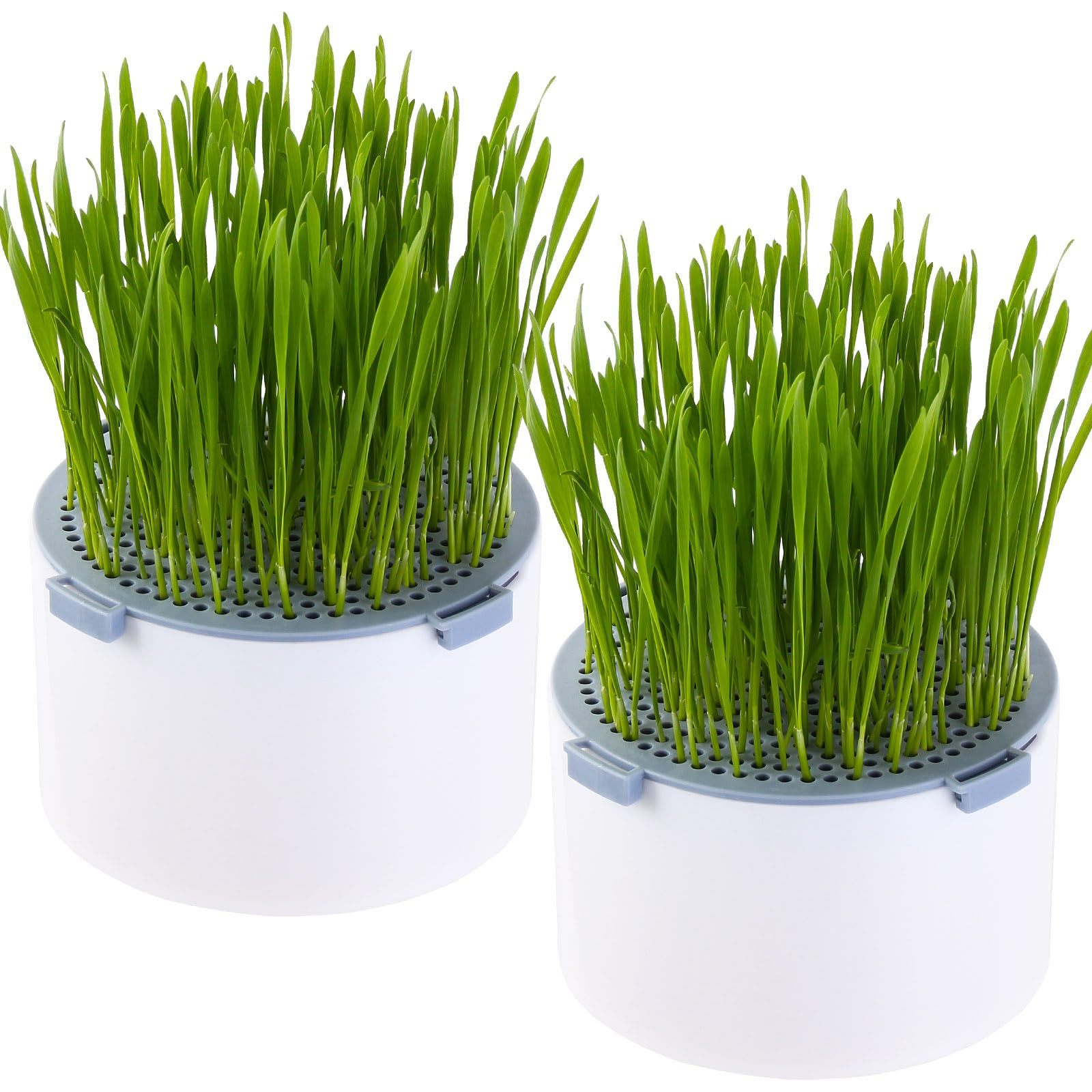 2Pcs Hydroponic Cat Grass Planter, Soil Free Wheatgrass Growing Tray, Anti Digging Anti Uprooted Cat Grass Grow Kit for Indoor Pets Cats, Without Seeds