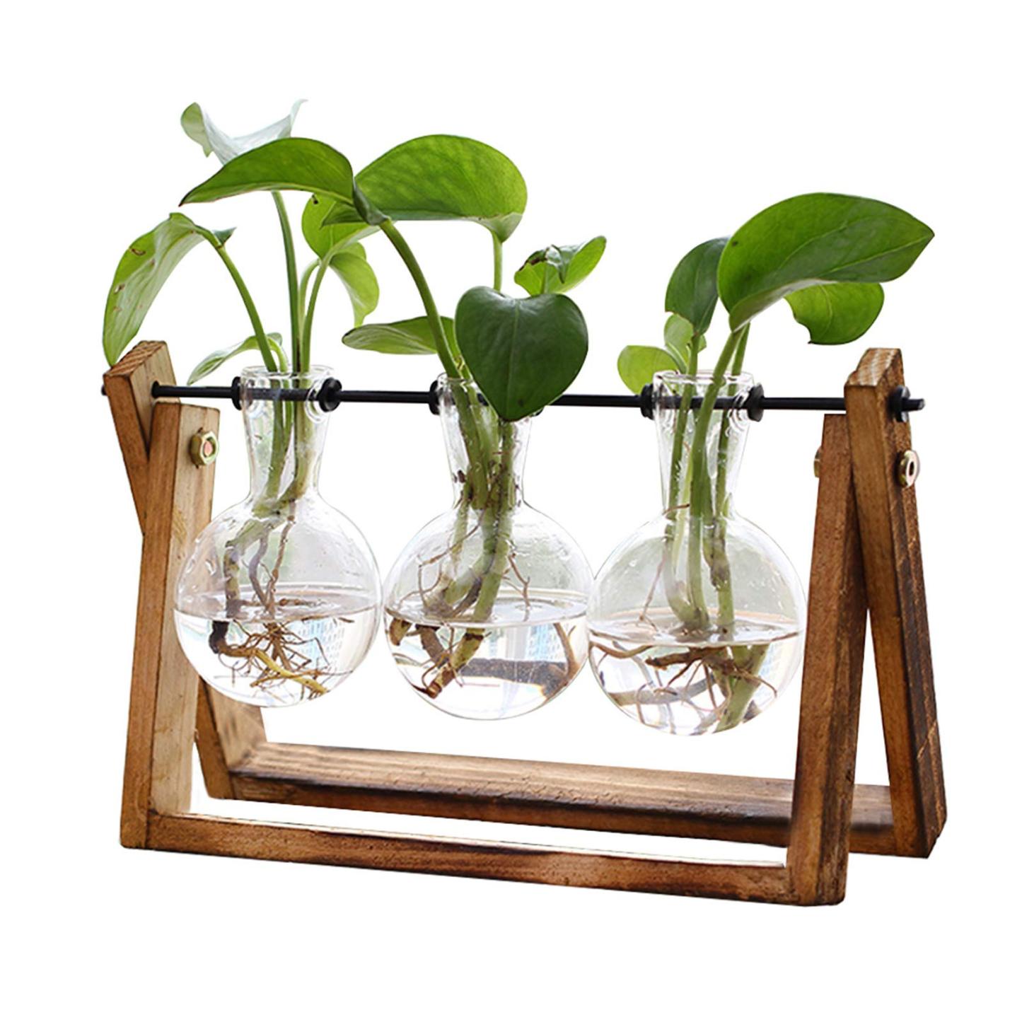 3 Pack Glass Bulb Plant Terrarium with Wooden Stand, Retro Swivel Metal Holder Hydroponic Vase, Tabletop Air Planter for Home Office Garden Decor