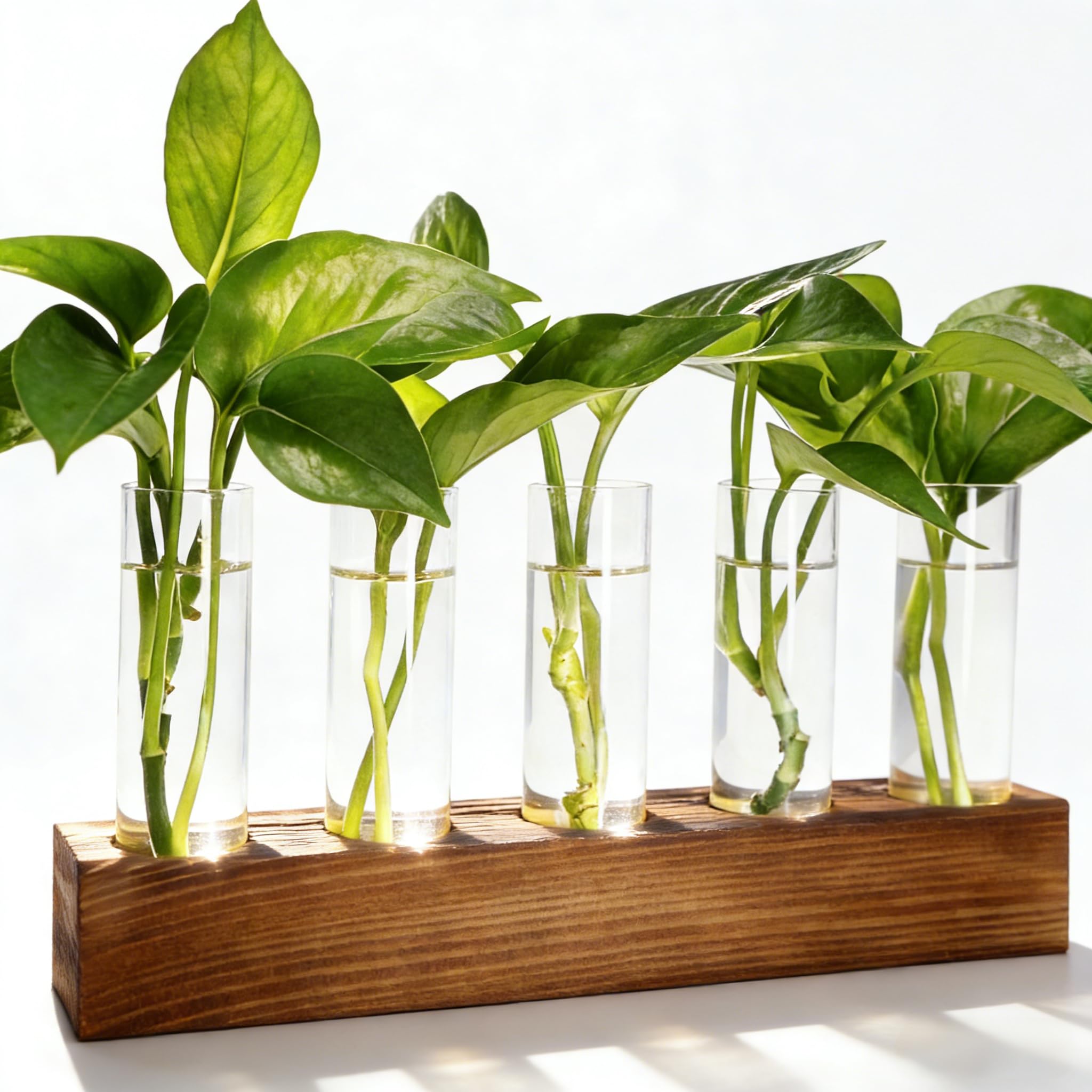Plant Propagation Station, 5 Glass Test Tube Vases with Wooden Stand, Hydroponic Plant Terrarium, Unique Small Birthday Gardening Gifts for Women Mom Plant Lovers