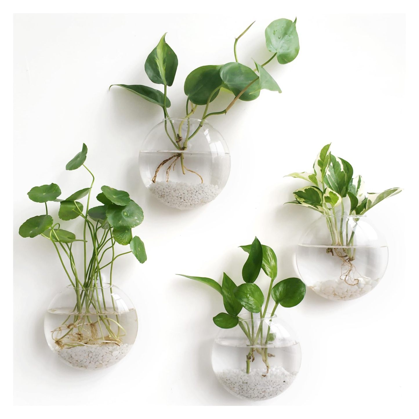 4Pcs Oblate Wall Hanging Glass Propagation Station, Hydroponic Flower Vase for Plant Cuttings, Home Bathroom Office Living Room Wall Decor Gift, Plants Not Included