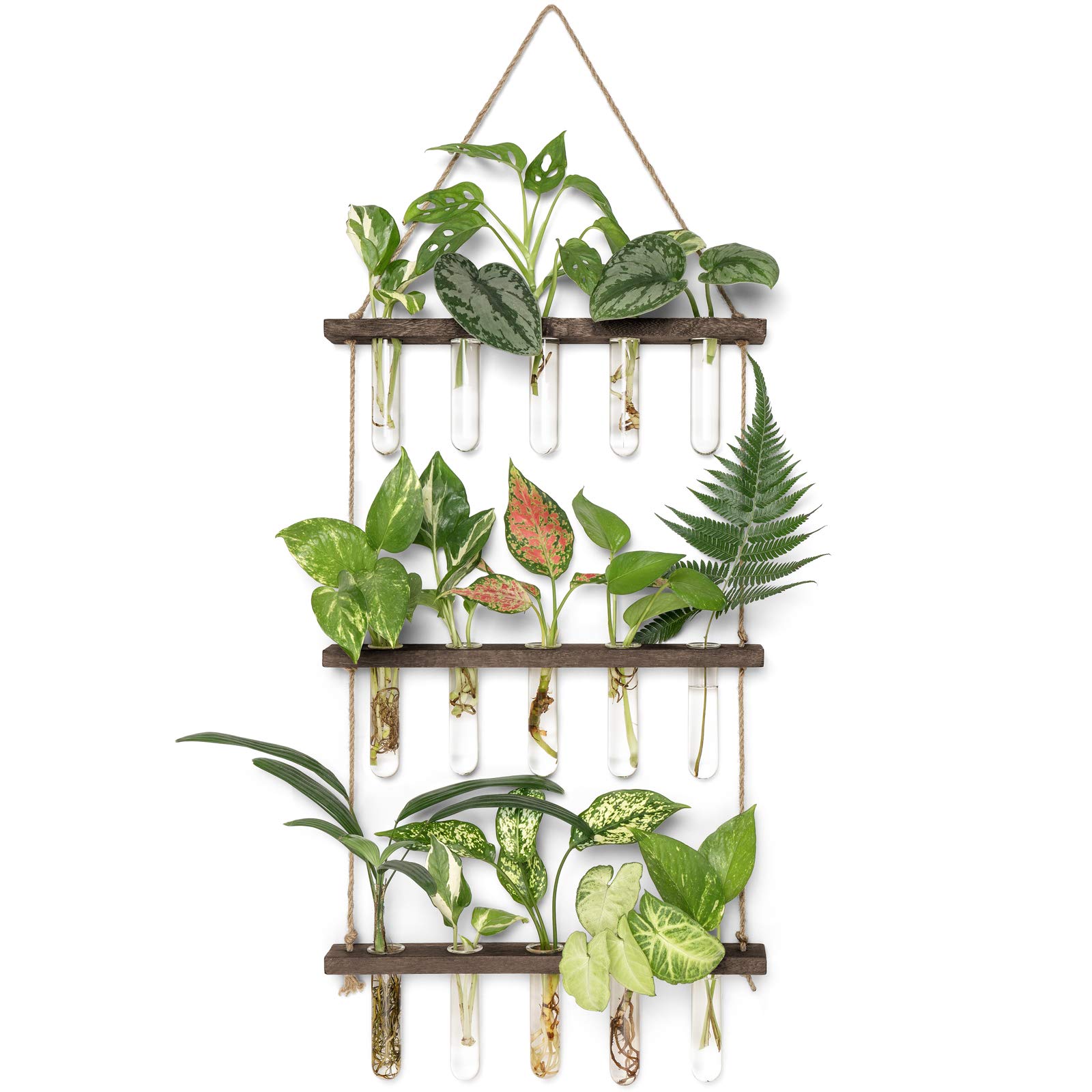 3 Tier Wall Hanging Plant Propagation Tubes, Wooden Frame Test Tube Glass Vase, Hydroponic Cuttings Terrarium, Home Garden Office Wall Decor Gift