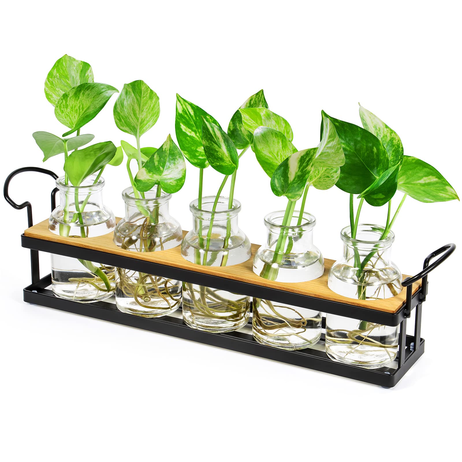 Tabletop Plant Propagation Station with Metal Stand, Retro Glass Hydroponic Planter Vase, 5 Jars Desktop Terrarium for Home Kitchen Office Decor & Plant Lovers Gifts