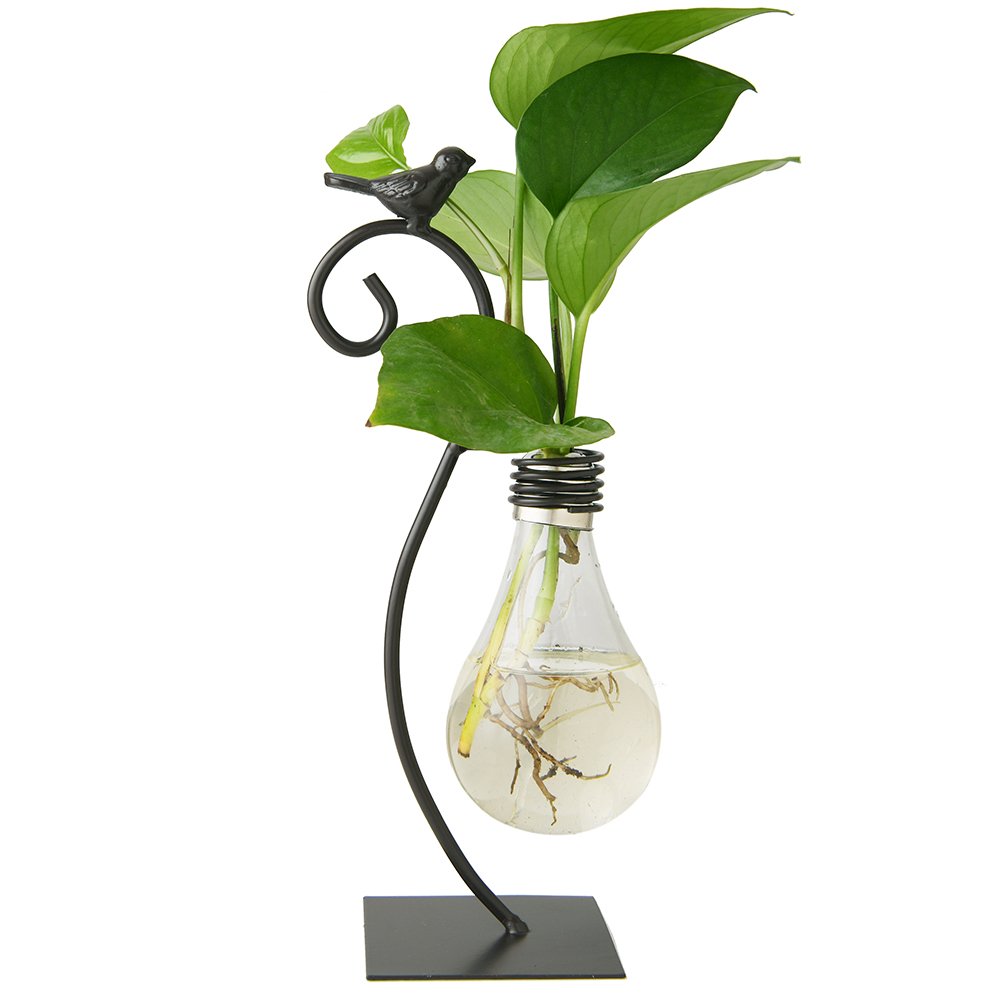 Modern Glass Hydroponic Vase Bulb Shaped Desktop Planter with Metal Holder for Home Decor