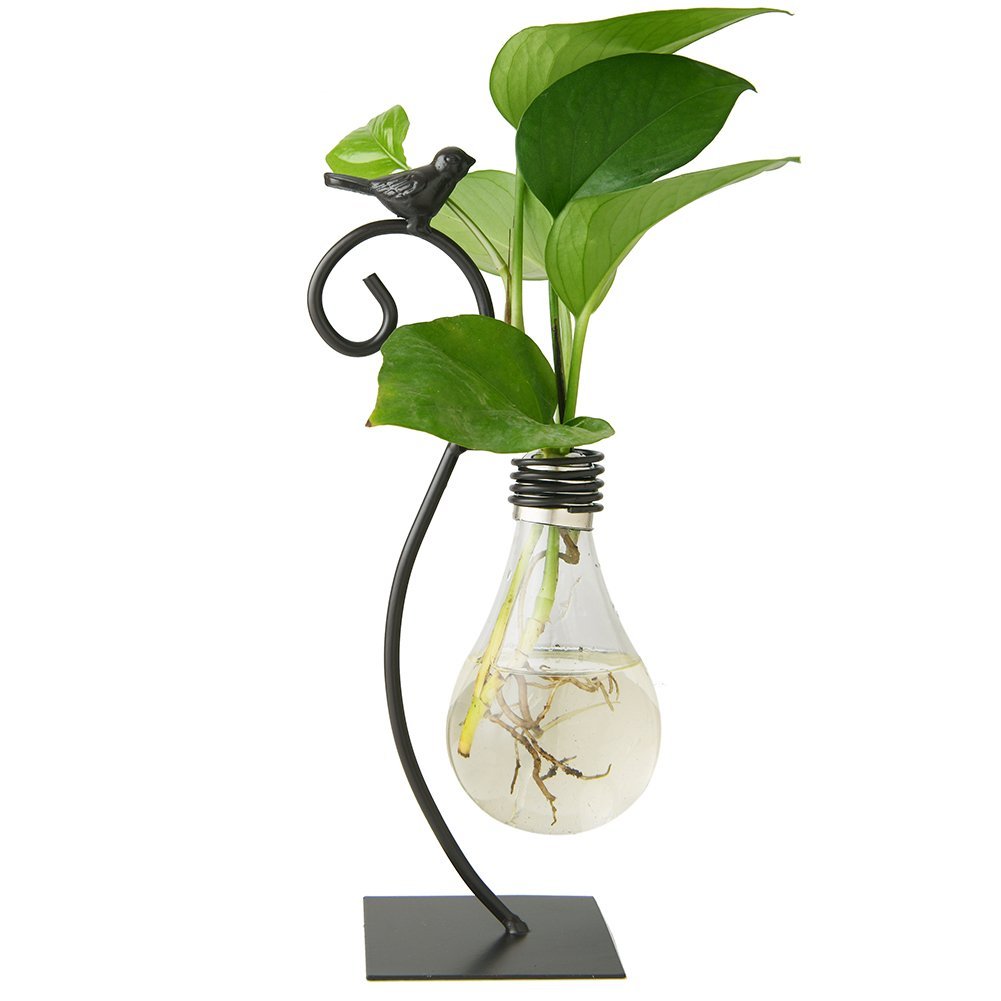 Modern Glass Hydroponic Vase Bulb Shaped Desktop Planter with Metal Holder for Home Decor